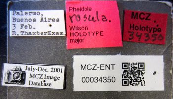 Media type: image;   Entomology 34350 Aspect: labels